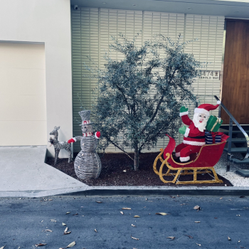 Holiday Lighting Installation in Los Angeles