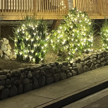 Holiday Lighting Installers in Los Angeles