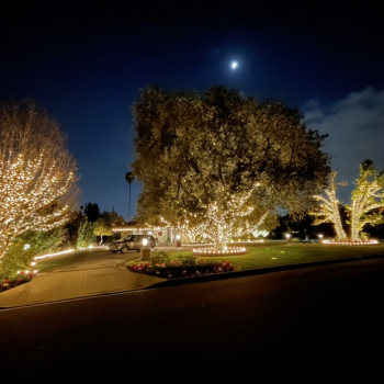Holiday Lighting Installation in So Cal