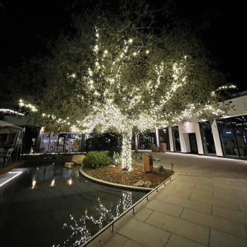 Holiday Lighting Installation in So Cal
