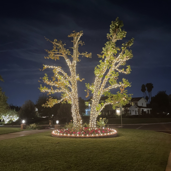 Holiday Lighting Installation in So Cal