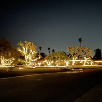 Holiday Lighting Installation in So Cal