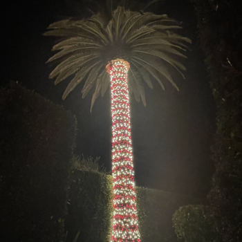 Christmas Lighting Installation in Los Angeles