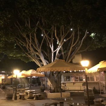 Landscape Lighting Installation in Los Angeles