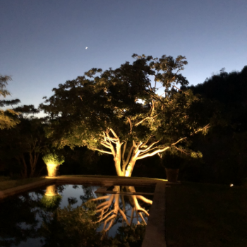 Landscape Lighting Installation in So Cal