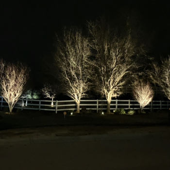 Landscape Lighting Installation in Los Angeles