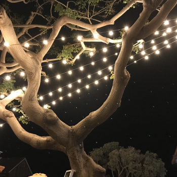 Overhead Lighting Installation in So Cal