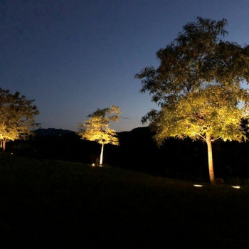 Landscape Lighting Installation in Los Angeles