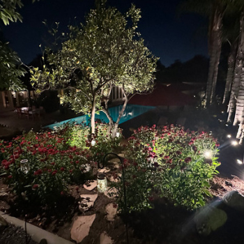 Outdoor Lighting in California