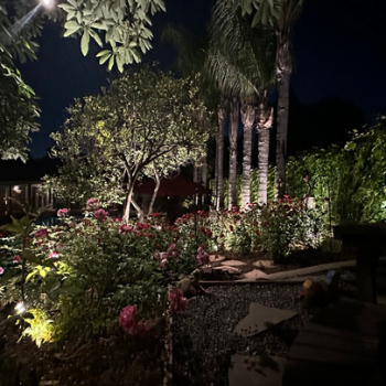 Landscape Lightining in Los Angeles