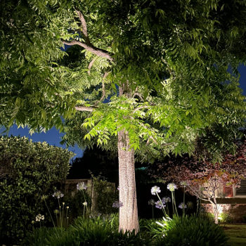 Outdoor Lighting in Los Angeles