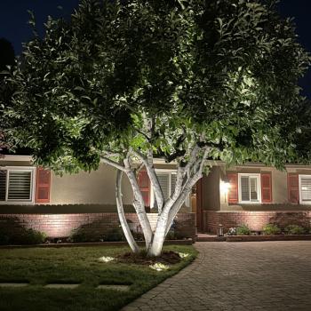 Landscape Lighting in So Cal