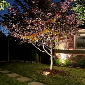Landscape Lighting in So Cal
