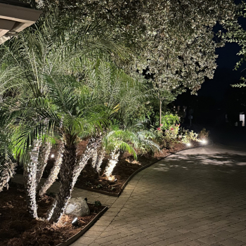 Outdoor Lighting in Los Angeles
