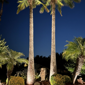 Landscape Lighting in So Cal