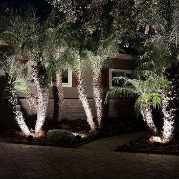 Landscape Lighting in So Cal