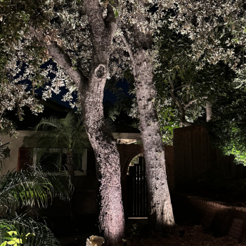 Landscape Lighting Installers in So Cal