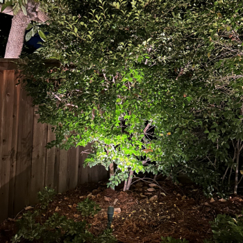 Outdoor Lighting in Los Angeles