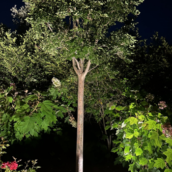 Outdoor Lighting in Los Angeles
