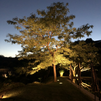 Outdoor Lighting in California