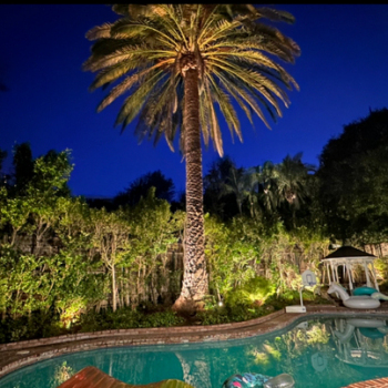 Landscape Lighting by True Sentiment