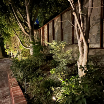 Landscape Lighting in California