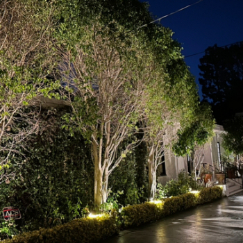 Landscape Lighting in So Cal