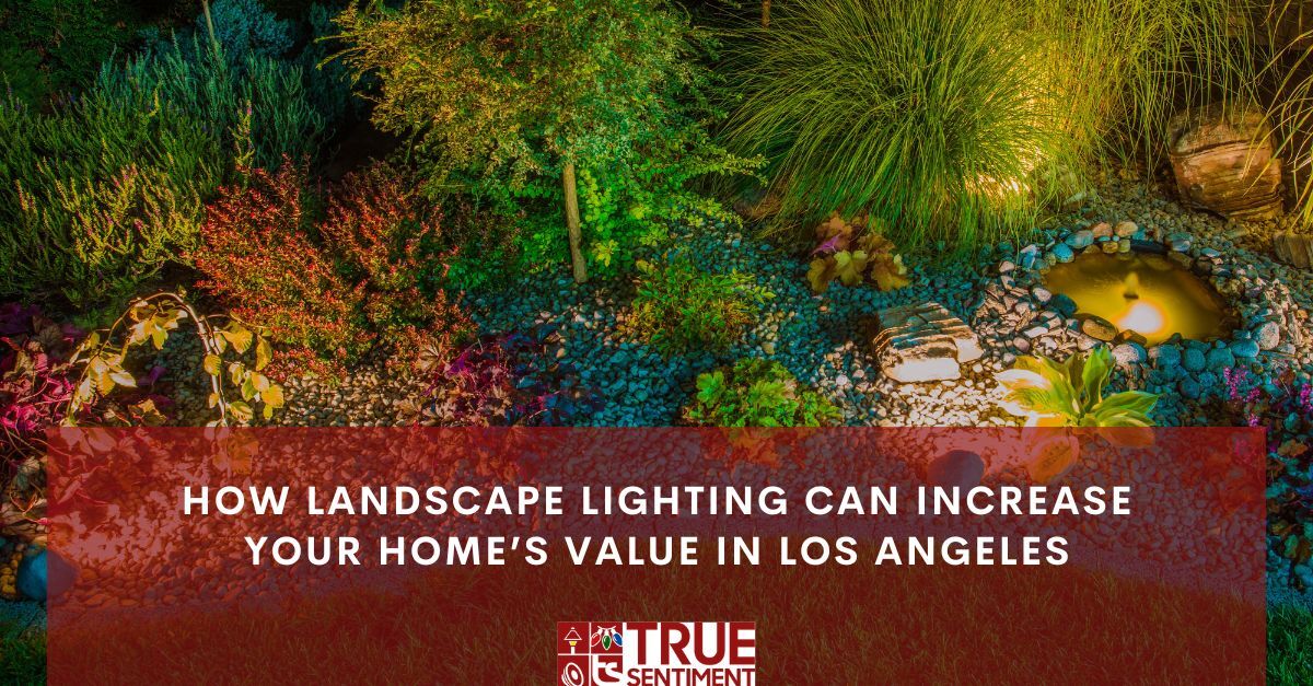 how landscape lighting can increase your homes value in los angeles