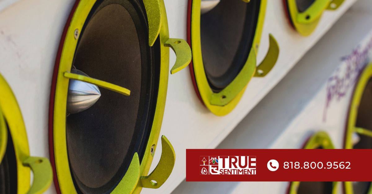 outdoor audio system installation