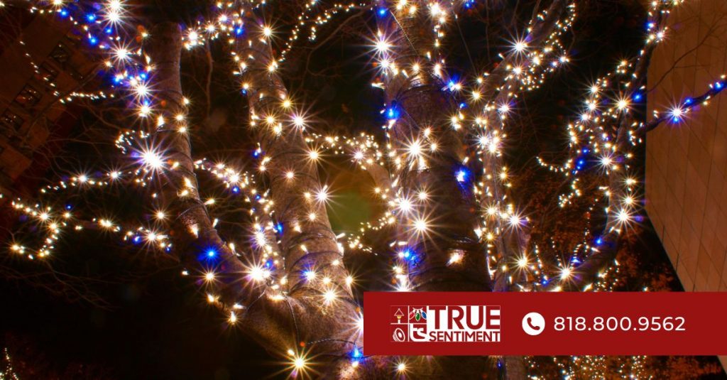 holiday light installers in los angeles