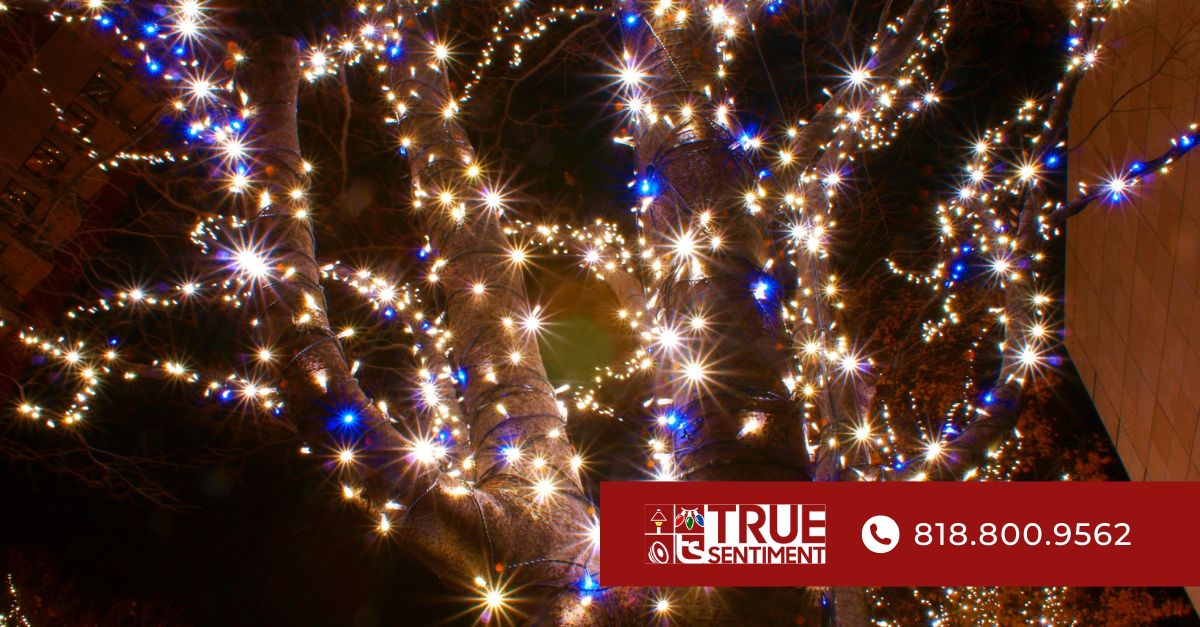 holiday light installers in los angeles