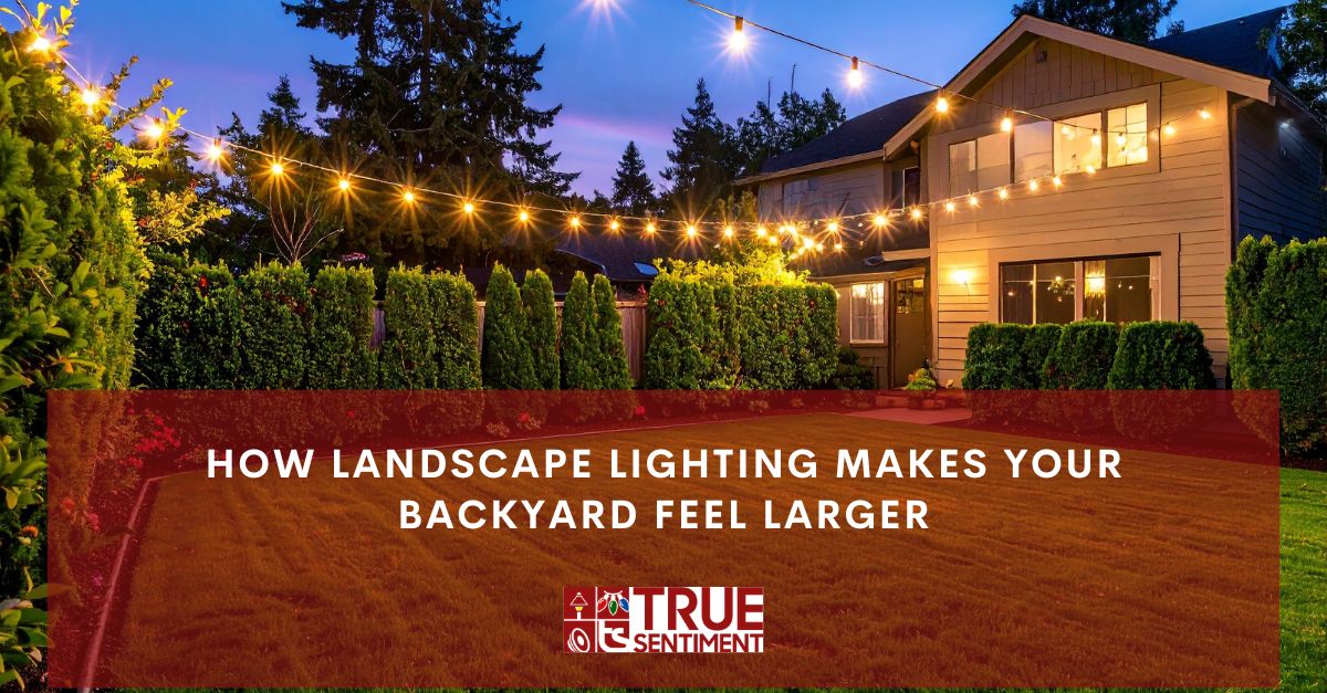how landscape lighting makes your backyard feel larger